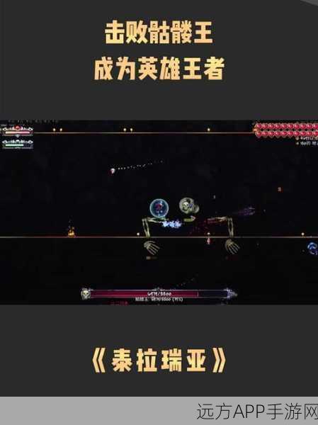 泰拉瑞亚翅膀竞技盛宴，揭秘飞行王者的终极对决