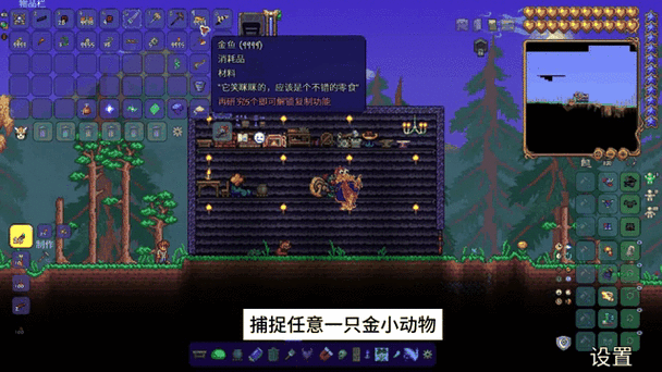 泰拉瑞亚翅膀竞技盛宴,揭秘飞行王者的终极对决