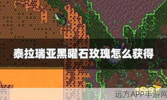 泰拉瑞亚神秘黑曜石玫瑰获取秘籍大公开
