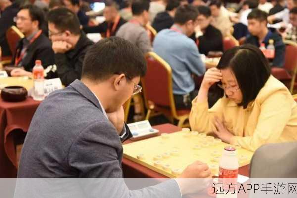 棋艺盛宴，中国象棋与围棋大赛精彩瞬间及魅力解析