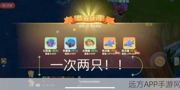 摩尔庄园手游，揭秘鲨鱼神秘宝藏，深海探险夺宝大冒险