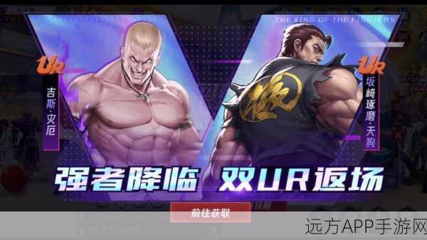 拳皇命运，赛场霸主养成攻略与深度战术剖析