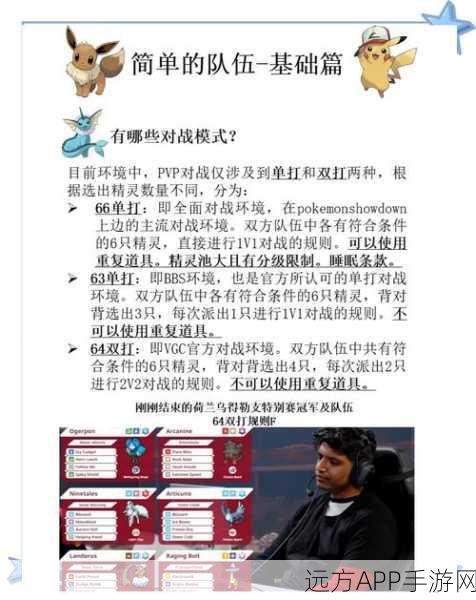 宝可梦剑盾PVP激战正酣，顶尖玩家排名大揭秘与战术深度解析