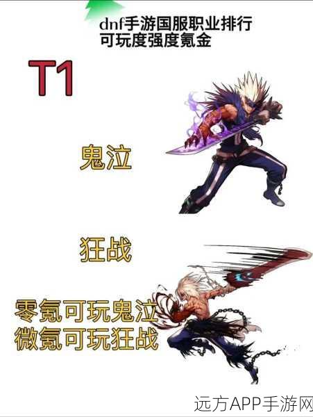 DNF职业深度剖析，揭秘非主流战斗伙伴的隐藏实力