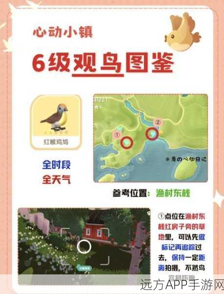 心动小镇，观鸟大赛启幕，探索自然奥秘的奇妙冒险之旅