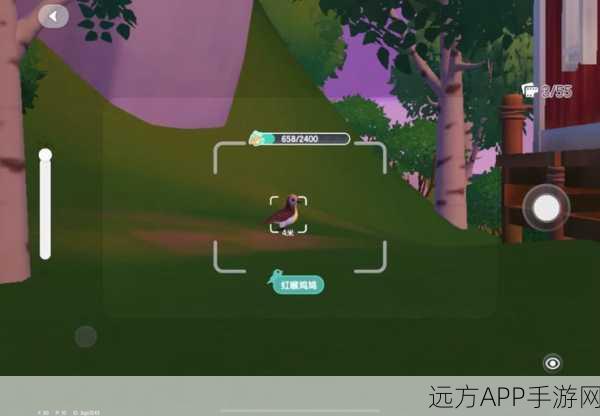 心动小镇,观鸟大赛启幕,探索自然奥秘的奇妙冒险之旅