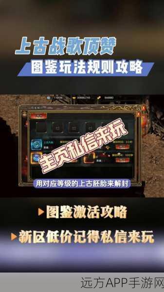 传奇世界手游深度攻略，揭秘任务系统，速通经验获取之道