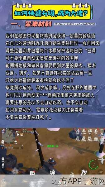火龙绝技速成秘籍，冰原守卫者高效刷怪与技能提升全攻略