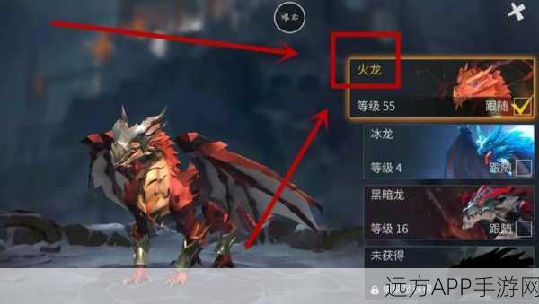 火龙绝技速成秘籍,冰原守卫者高效刷怪与技能提升全攻略