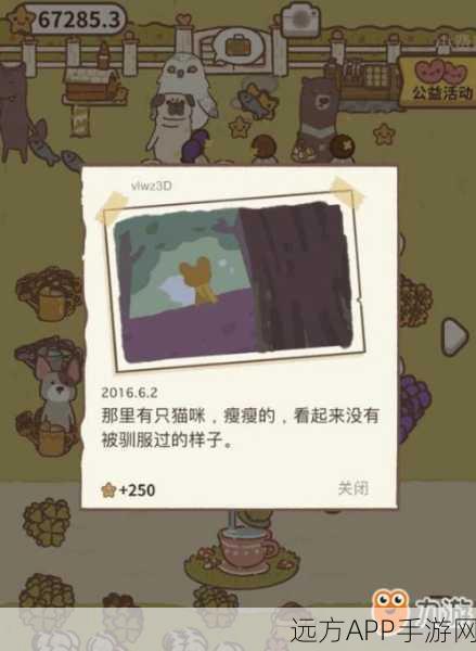 动物餐厅小狐狸解锁秘籍，条件与技巧全揭秘
