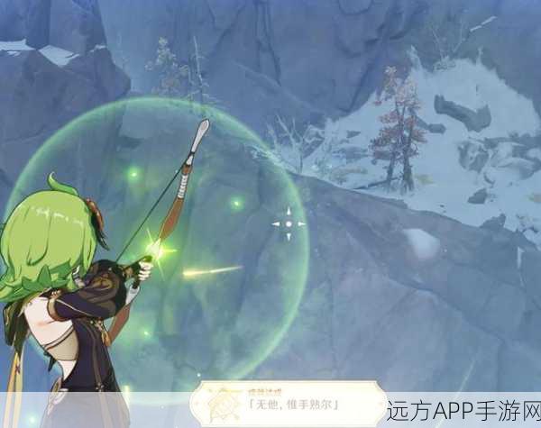 独家揭秘，原神飞行考试第一关满分攻略，助你翱翔天际！