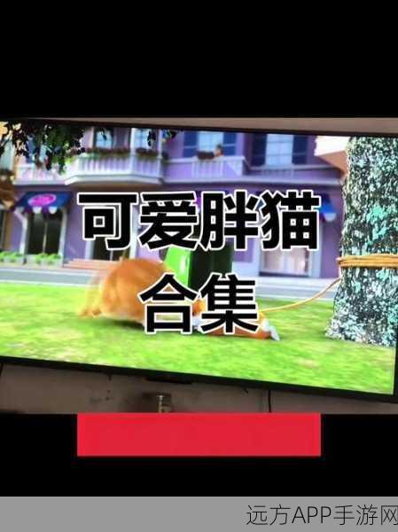 胖猫餐厅,萌趣上线,打造你的梦幻美食帝国!