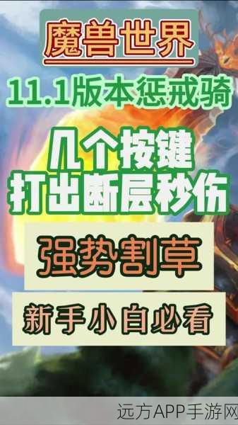 WLK惩戒骑光环掌握,竞技场策略深度剖析与实战技巧