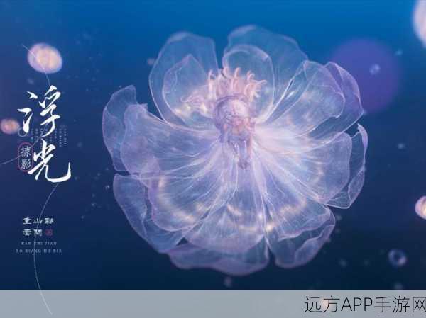 闪耀暖暖,晴浪浮光深度攻略与活动全览,助你集齐限定套装!