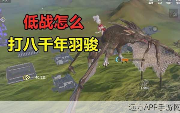 妄想山海羽骏翼获取攻略，解锁飞行神器的秘密途径