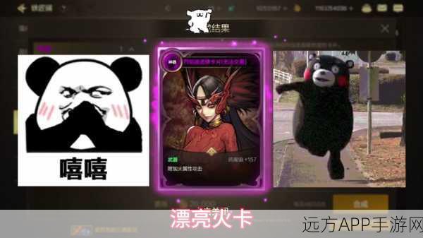 DNF珍稀卡片大放送,活动攻略与快速获取秘籍
