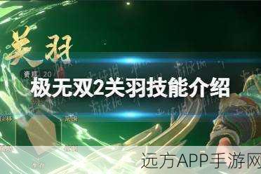 极无双2深度解析，关羽培养价值、技能强度及高效配队攻略新解