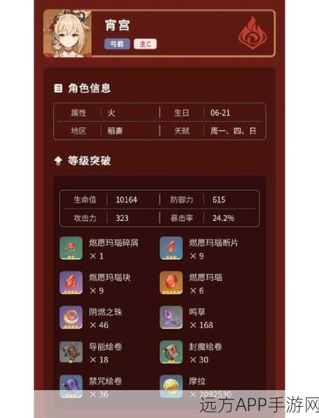 原神宵宫纯火队搭配攻略，高效输出与团队协作指南