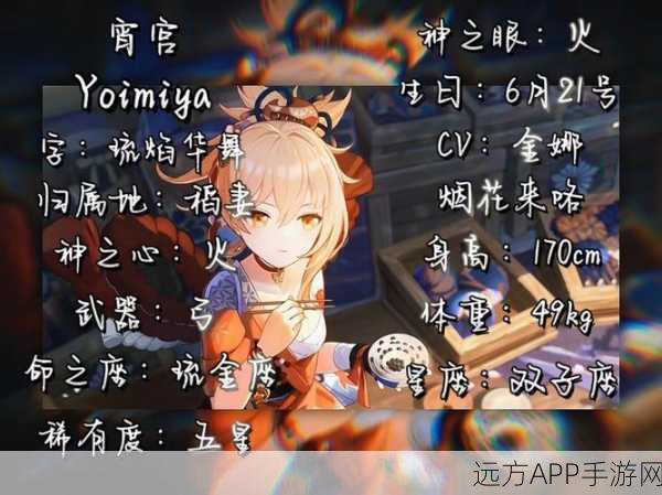 原神宵宫纯火队搭配攻略,高效输出与团队协作指南