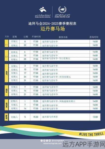 地城堡3赛马场，揭秘冠军马匹的选号策略与比赛细节