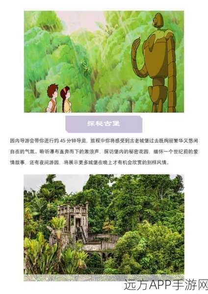 地城堡3赛马场,揭秘冠军马匹的选号策略与比赛细节