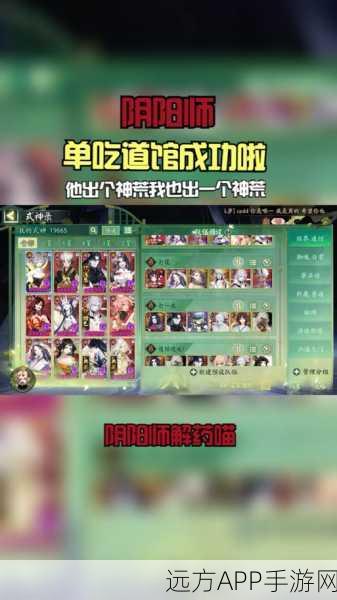 阴阳师入内雀阵容搭配全攻略，解锁高效战斗新姿势！