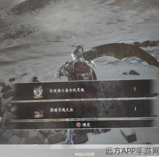 黑暗之魂2终极揭秘,终极BOSS战必胜攻略与细节解析