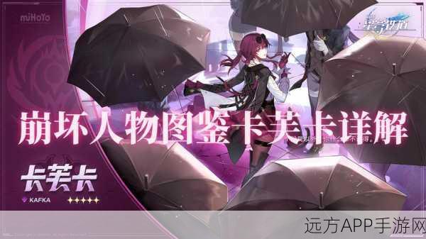 崩坏星穹铁道40级解锁,全角色卡深度剖析与养成攻略