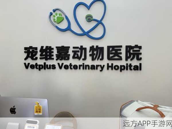 萌宠治愈系新体验，医生兽医手游下载，打造你的梦幻宠物医院