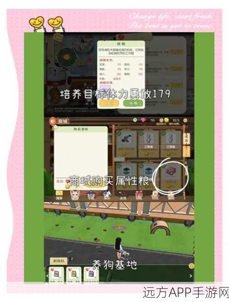 小森生活攻略秘籍,揭秘无限体力技巧,打造无拘无束的游戏之旅