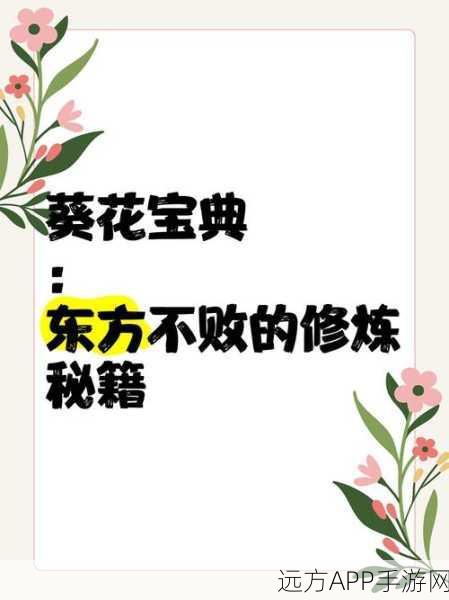 东方不败新手速成秘籍，战力飙升全攻略大揭秘