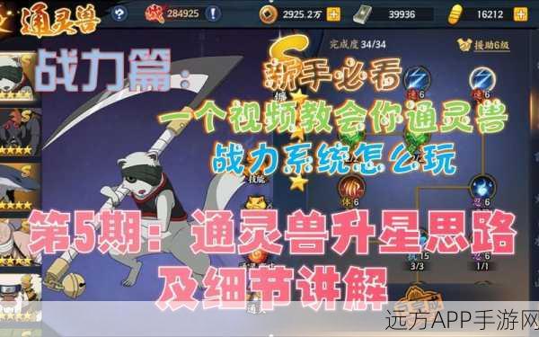 火影忍者手游深度解析,通灵兽忍龟实战效能与培养攻略