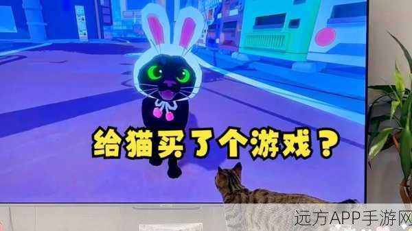 猫咪专属乐趣,探索喵趣横生的猫游戏下载新世界