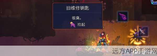 重生细胞深度攻略,蜘蛛符文高效获取秘籍