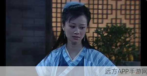 揭秘武林外传无双角色扮演者,深度剖析游戏角色与扮演者风采