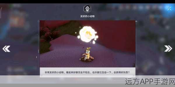 幻塔萌宠互动解谜全攻略，揭秘与小动物友好互动的绝妙技巧