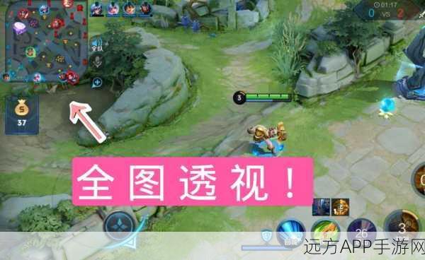 王者荣耀作弊模式揭秘，公平竞技的阴影与警示