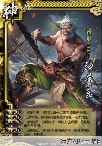 三国杀深度解析,黄盖技能全揭秘及实战应用