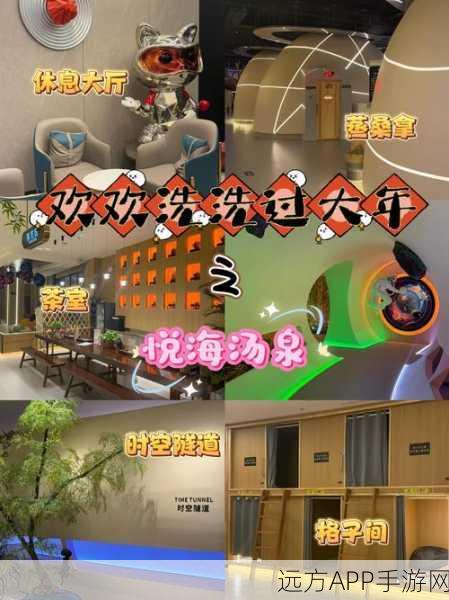 镖人手游深度攻略，揭秘赤沙镇温泉奇遇，轻松解锁隐藏任务