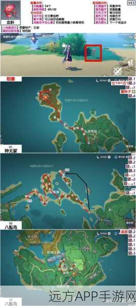 原神血斛采集大赛,解锁高效路线与必胜技巧全揭秘