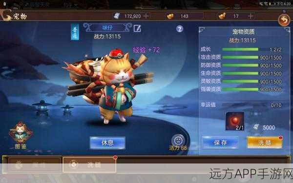 苍穹之剑，揭秘仙宠品质，探索宠物养成奥秘