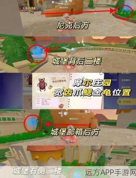 摩尔庄园探秘,解锁墙上密码表的详细攻略