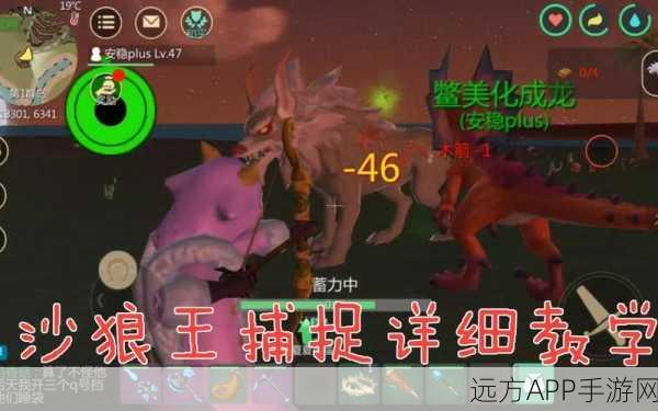 探秘创造与魔法,沙漠狼王现身地点全解析