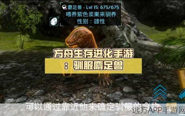 手游攻略，方舟生存进化——智慧驯兽，掌握恐龙停战秘籍