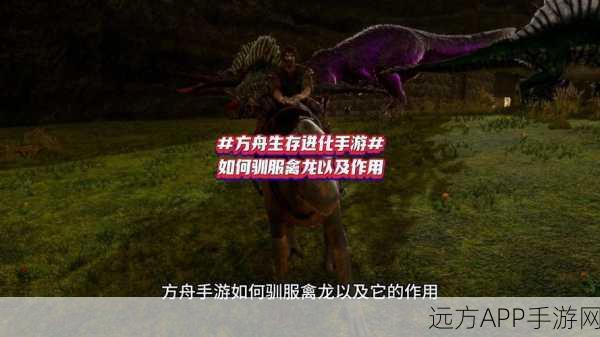 手游攻略,方舟生存进化——智慧驯兽,掌握恐龙停战秘籍