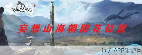 妄想山海，揭秘朝阳花的神秘功效与用途
