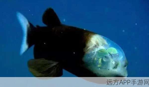 我的世界深海探险，揭秘神秘鱼类生物，赢取独家海洋礼包！