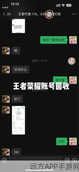 王者荣耀账号被回收?别急,这里有全面解决方案!