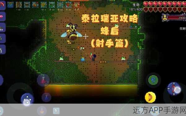 泰拉瑞亚深度攻略,揭秘大力士甲虫高效获取策略与实战技巧