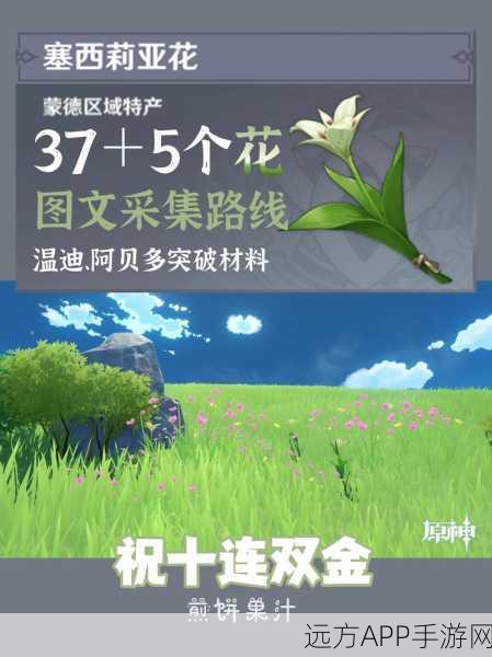 原神塞西莉娅苗圃精灵全揭秘，四大神秘精灵位置与攻略详解